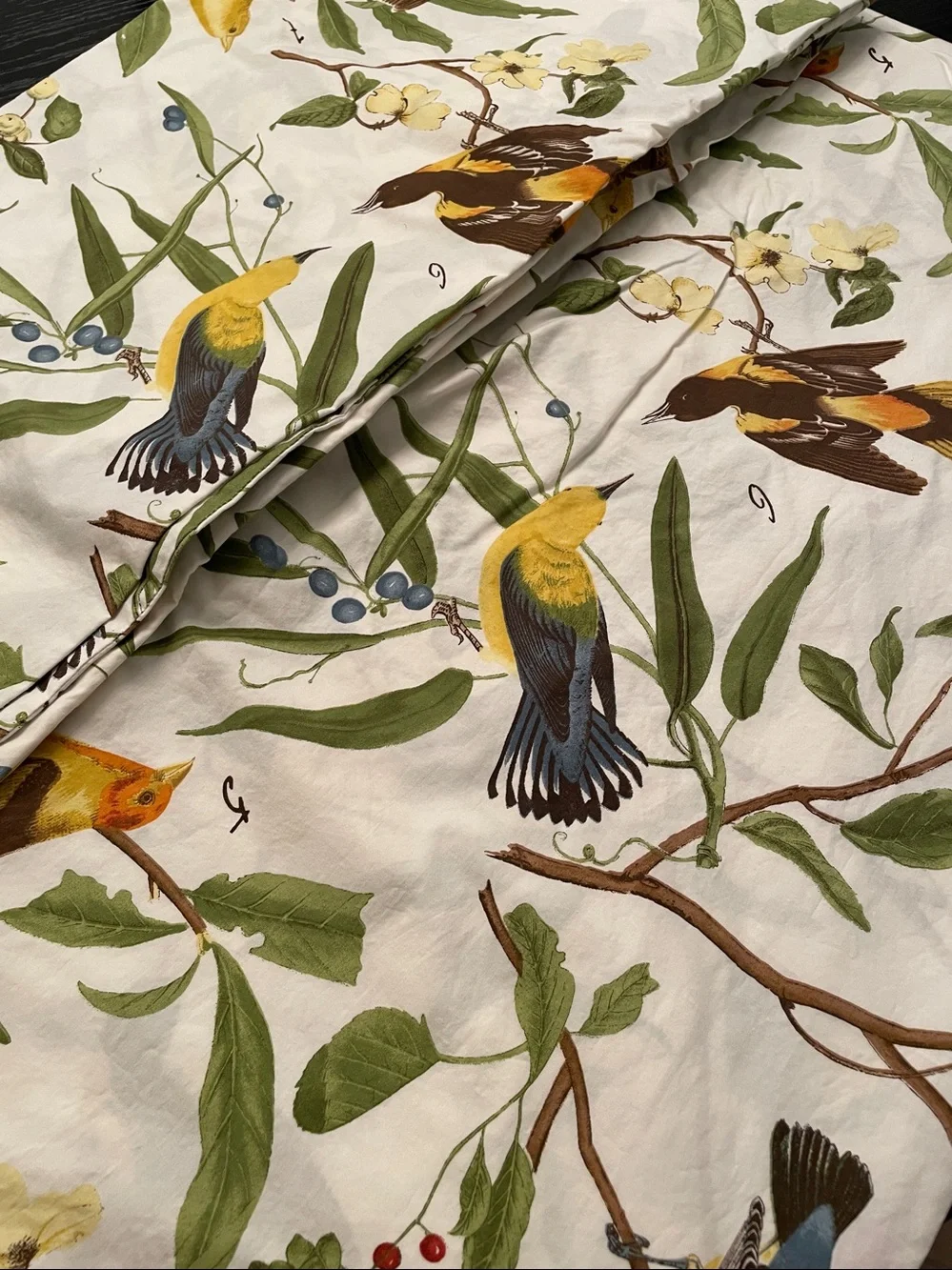 Pottery Barn Spring Sparrows Twin Duvet Cover organic cotton